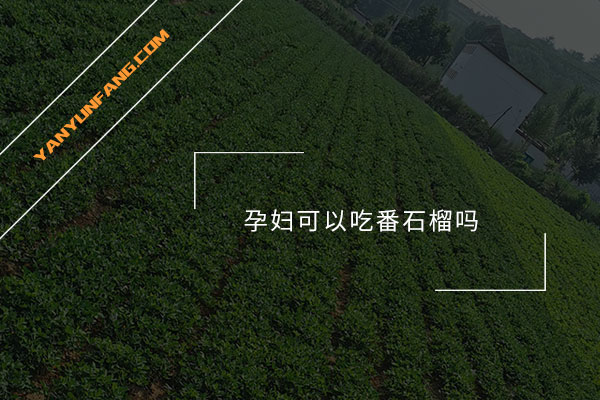 孕妇可以吃番石榴吗？