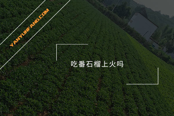 吃番石榴上火吗？