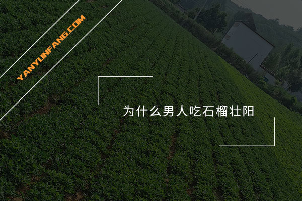 为什么男人吃石榴壮阳？