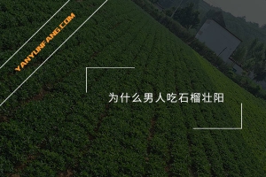 为什么男人吃石榴壮阳？