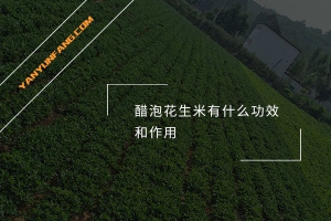 醋泡花生米有什么功效和作用？