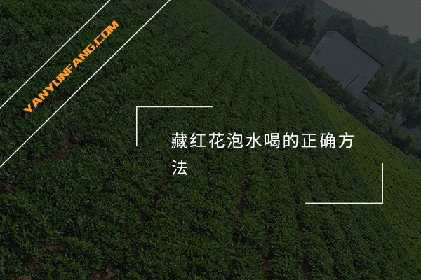 藏红花泡水喝的正确方法