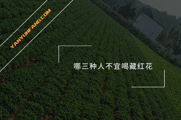 哪三种人不宜喝藏红花？