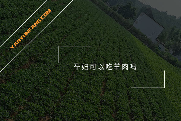 孕妇可以吃羊肉吗？