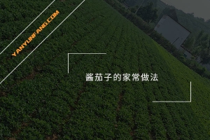 酱茄子的家常做法