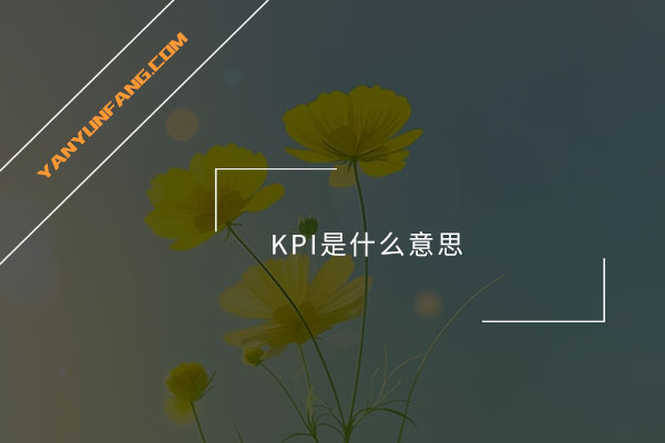 KPI是什么意思？