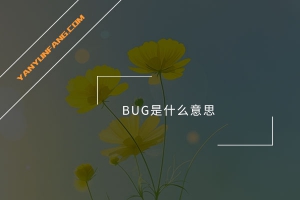 BUG是什么意思？