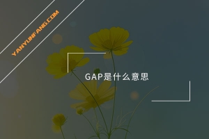 GAP是什么意思？
