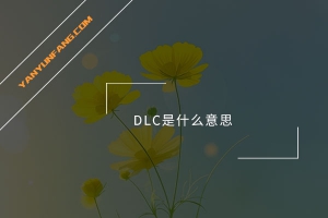 DLC是什么意思？
