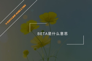 BETA是什么意思？