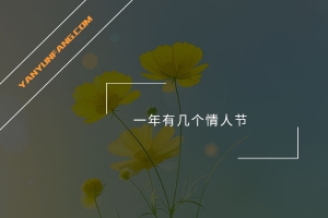 一年有几个情人节？