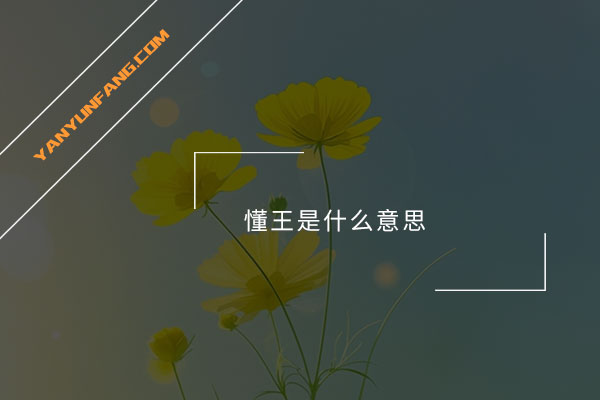 懂王是什么意思？