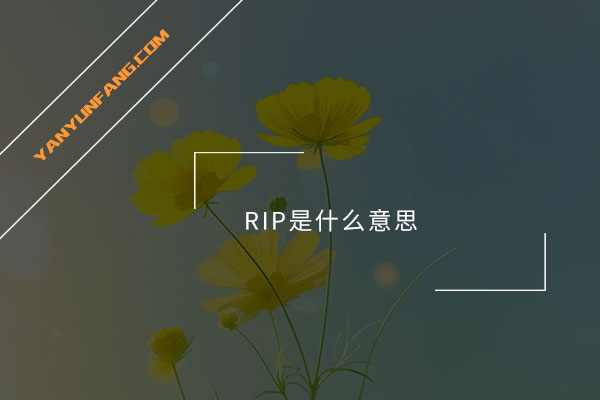 RIP是什么意思？