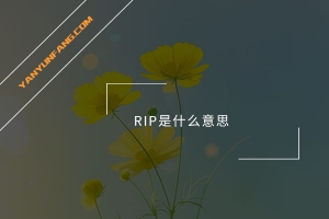 RIP是什么意思？