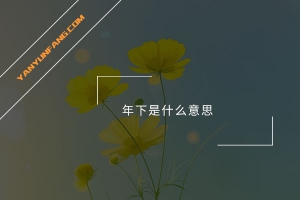 年下是什么意思？