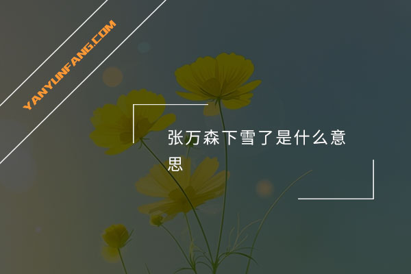 张万森下雪了是什么意思？