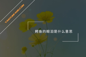 鳄鱼的眼泪是什么意思？