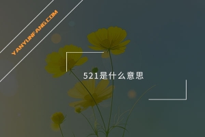 521是什么意思？