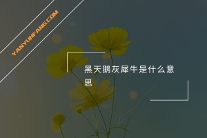 黑天鹅灰犀牛是什么意思？