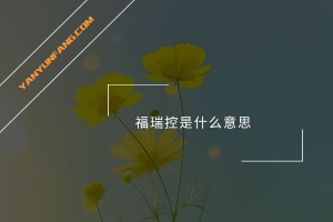 福瑞控是什么意思？