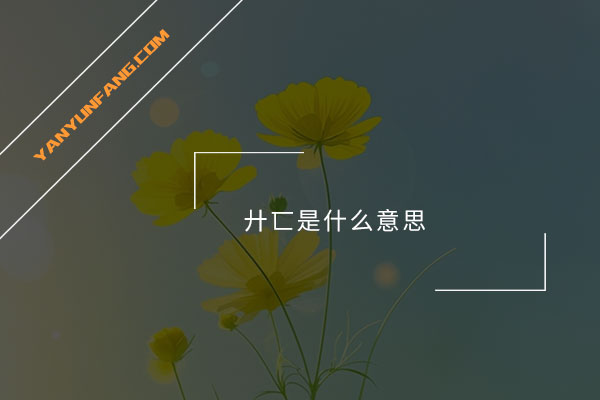 廾匸是什么意思？
