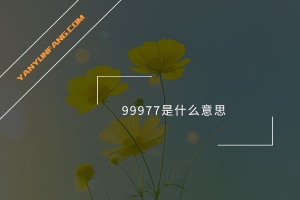99977是什么意思？