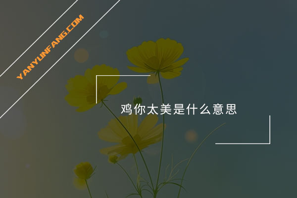 鸡你太美是什么意思？