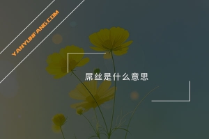 屌丝是什么意思？