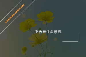 下头是什么意思？