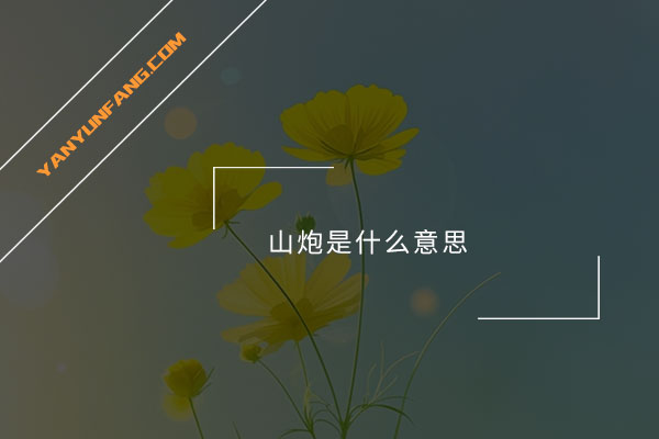 山炮是什么意思？