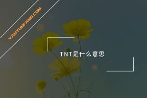 TNT是什么意思？