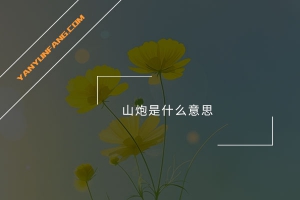 山炮是什么意思？