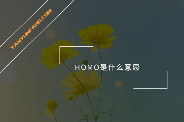 HOMO是什么意思？