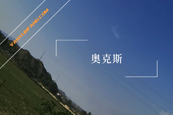 奥克斯
